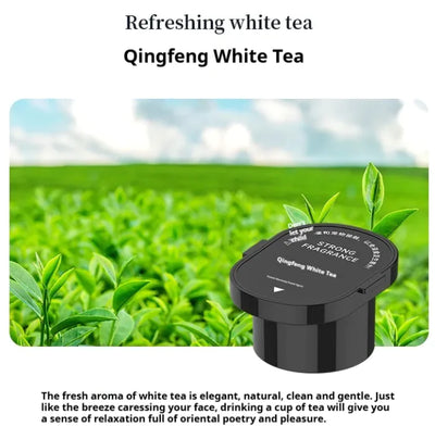 Car Aromatherapy Air Freshener Sprayer - USB Rechargeable